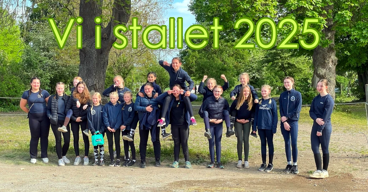 Vi i stallet 2025