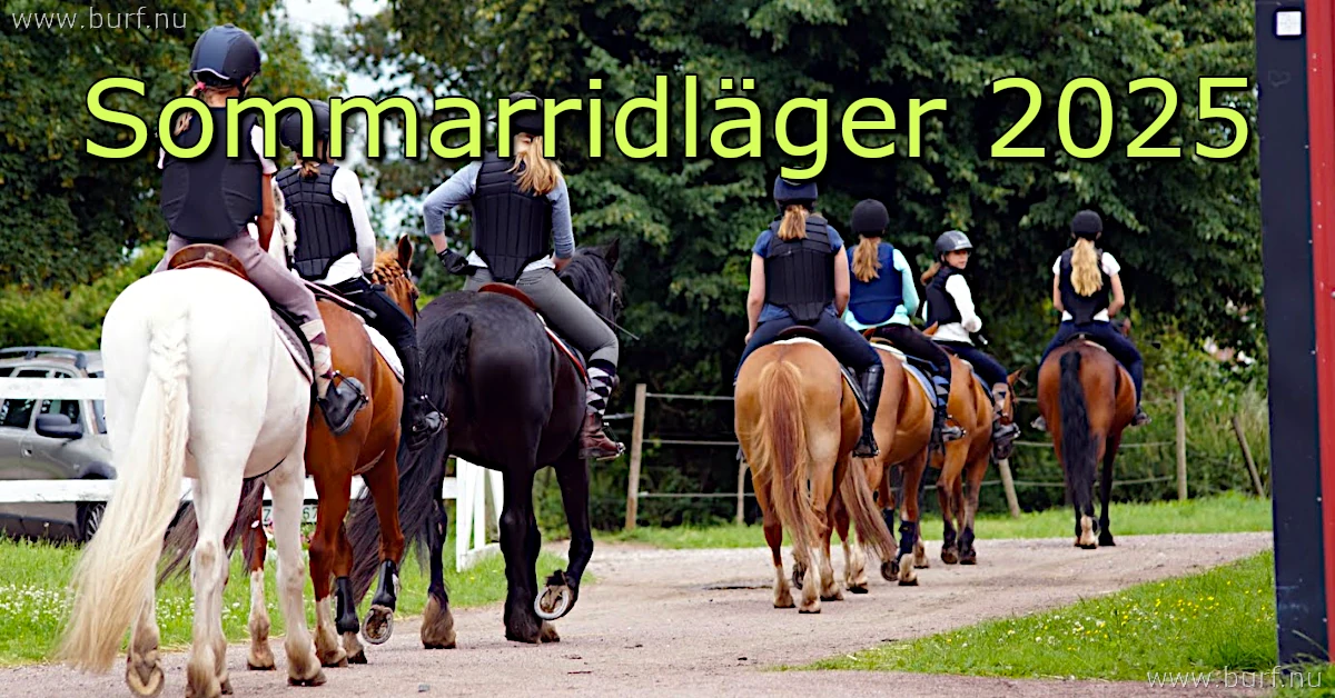 Sommarridläger 2025
