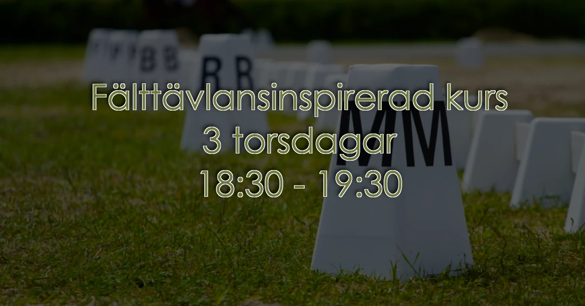 Är du sugen på en fälttävlansinspirerad kurs? 