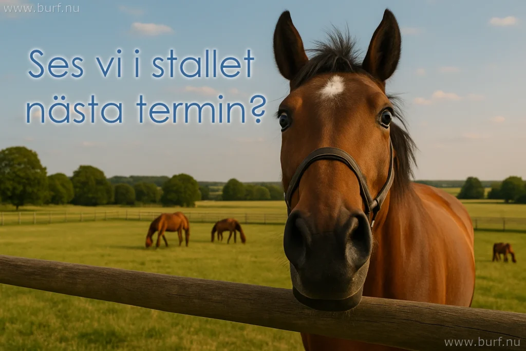Ses vi i stallet